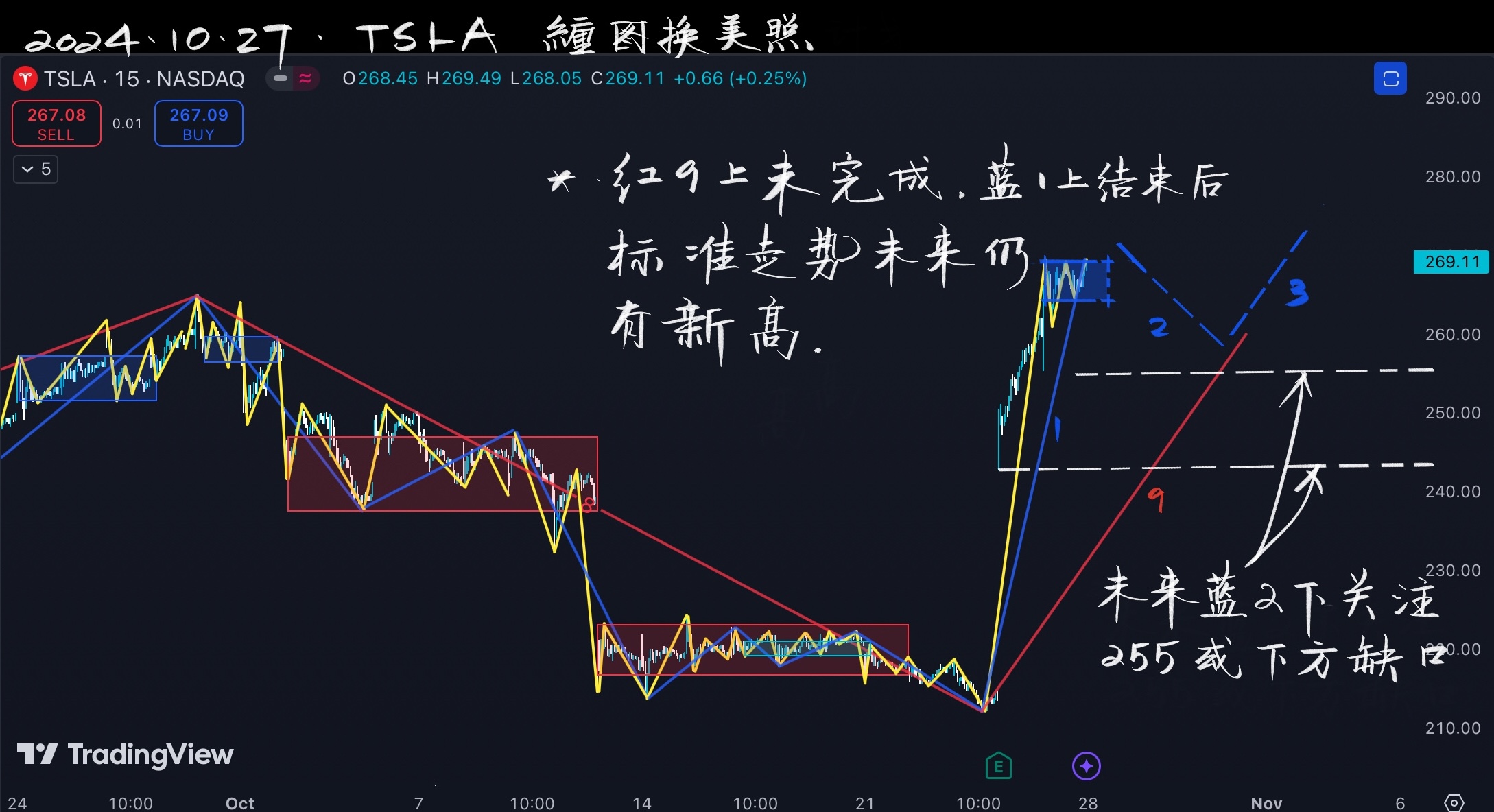 TSLA特斯拉20241015